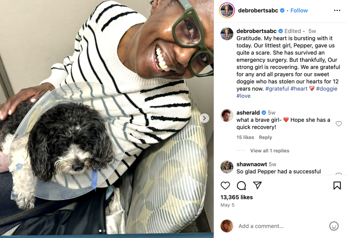 Hearts break for Al Roker: 'Yesterday, we had to say goodbye' | On June 11, the famous Today Show meteorologist took to Instagram to announce the death of a beloved family member, his 12-year-old pup Pepper.